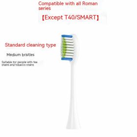 Electric Toothbrush Brush Replacement Head (Option: Clean Type White)