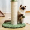 Pet Supplies Cactus Cat Tree Scratcher With Interactive Ball